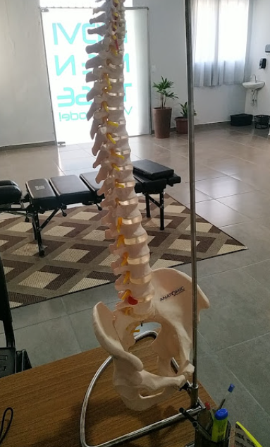 Dr. Alberto Dantas - Consultório de Fisioterapia - Foto 1