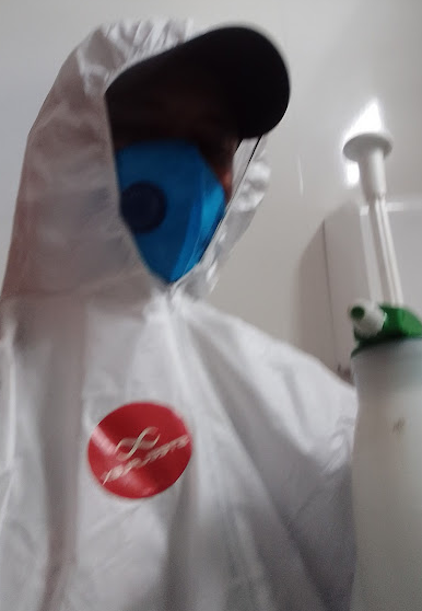 THE TOX DEDETIZAÇÃO - Foto 1