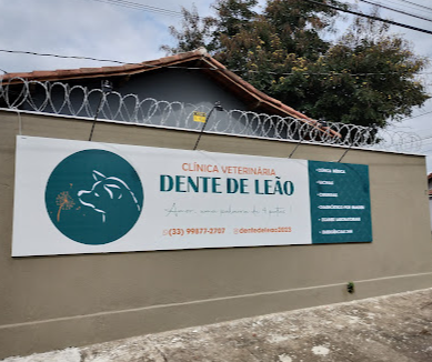 Dente de Leão - Clínica Veterinária - Foto 2
