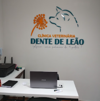 Dente de Leão - Clínica Veterinária - Foto 3