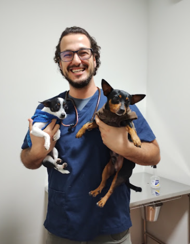 Dente de Leão - Clínica Veterinária - Foto 4