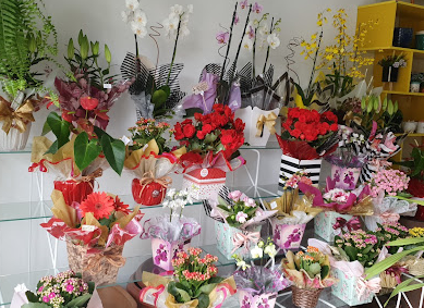 Floricultura Encanto das Flores - Foto 4