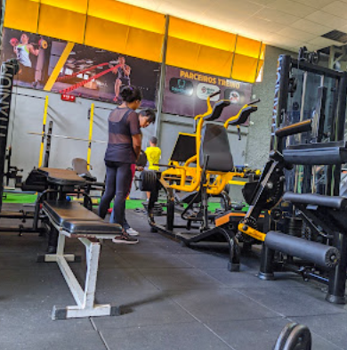 Studio Treino Estilo de vida e saúde