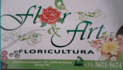 Floricultura FLOR ART NANUQUE MG