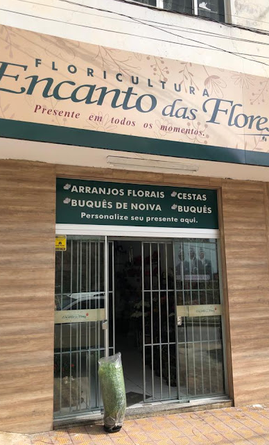Floricultura Encanto das Flores