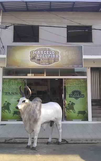 Marcelo Sucupira - A Loja do Cowboy